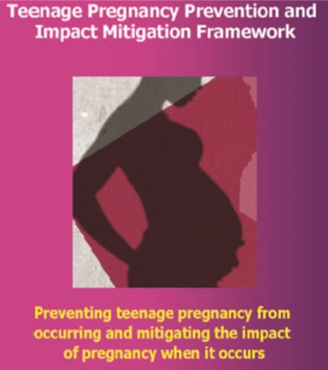 Teenage pregnancy prevention and impact mitigation framework for Ibanda District