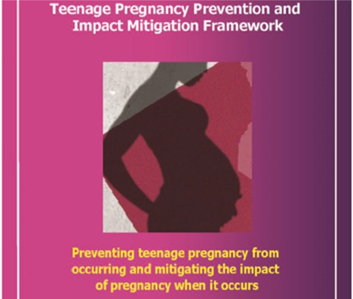 Teenage pregnancy prevention and impact mitigation framework for Ibanda District